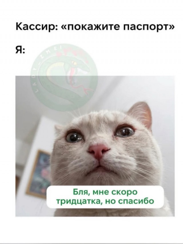 Деградация