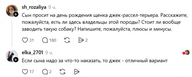 Так себе картинки 11.07.26