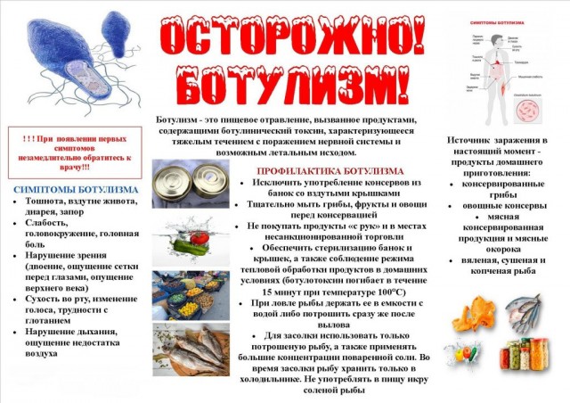 Первый раз решил засолить грибы.
