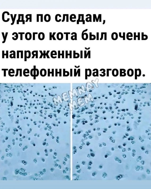 Веселые картинки в маленькую пятницу (14.10)