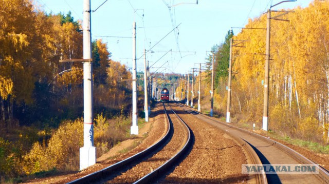 Победители фотоконкурса