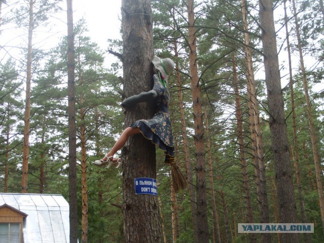 Плюсомет со шпалометом