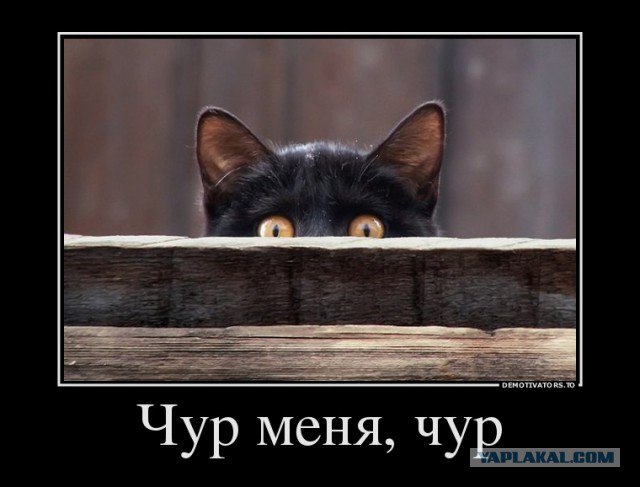 Гага без фотошопа для Versace