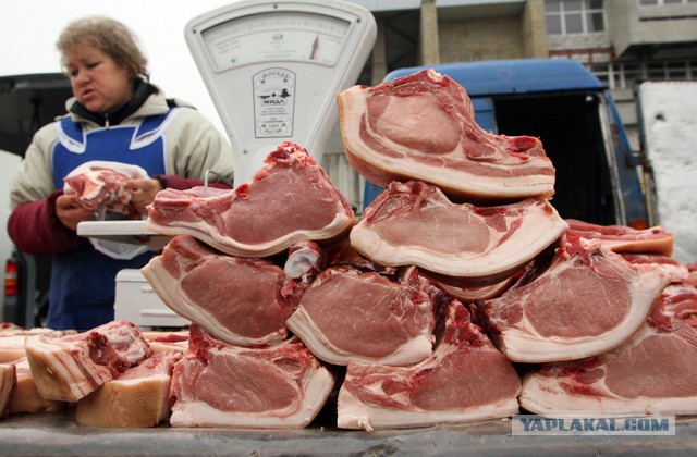 РФ отменит эмбарго на ввоз свинины...