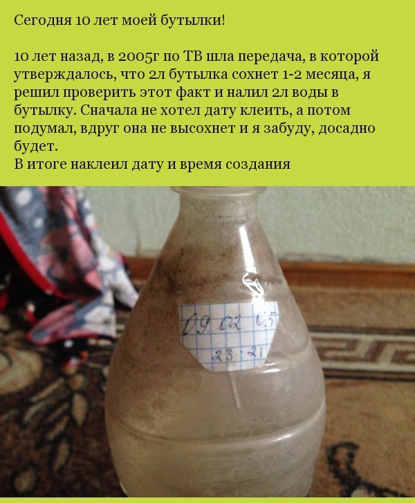 Сегодня 10 лет моему эксперименту