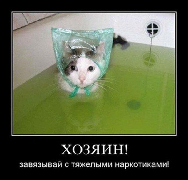 Немного картинок на вторник