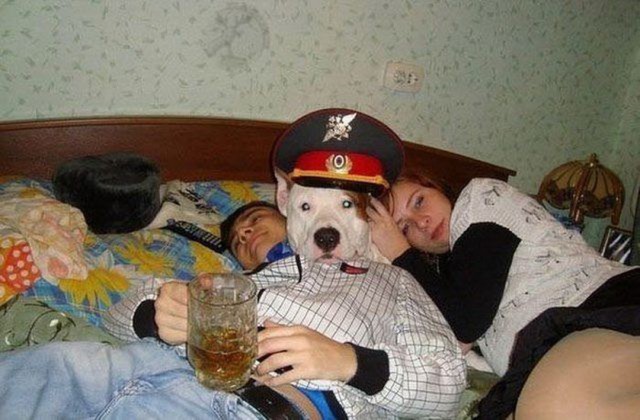 Ужасы и приколы из соцсетей 18+