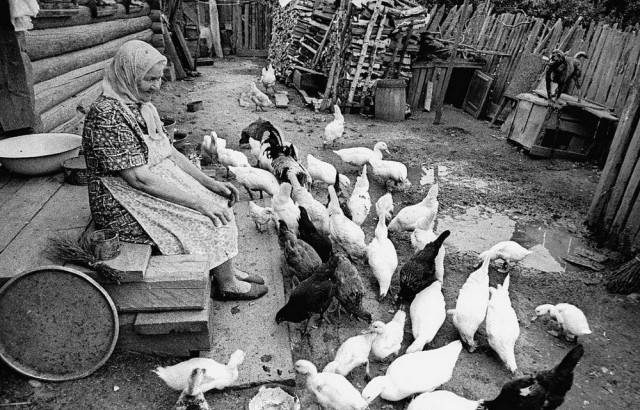 http://s00.yaplakal.com/pics/pics_preview/3/1/1/7618113.jpg