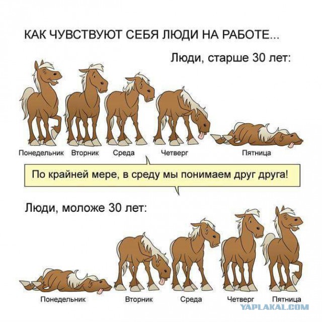 Пятничный полтинничек всем