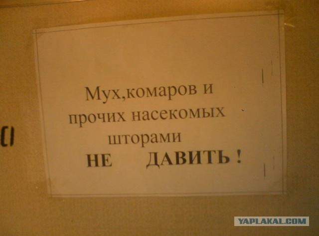 Креативные российские запреты