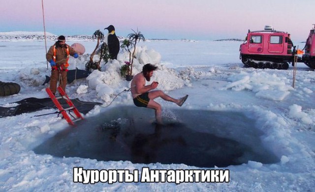 Картинки из сети
