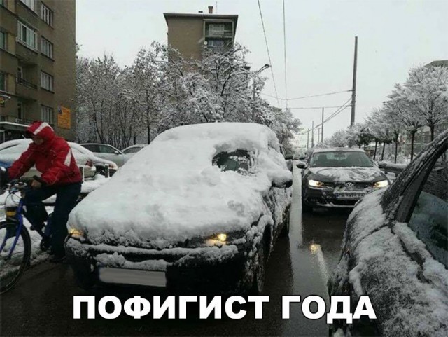 Просто картинки