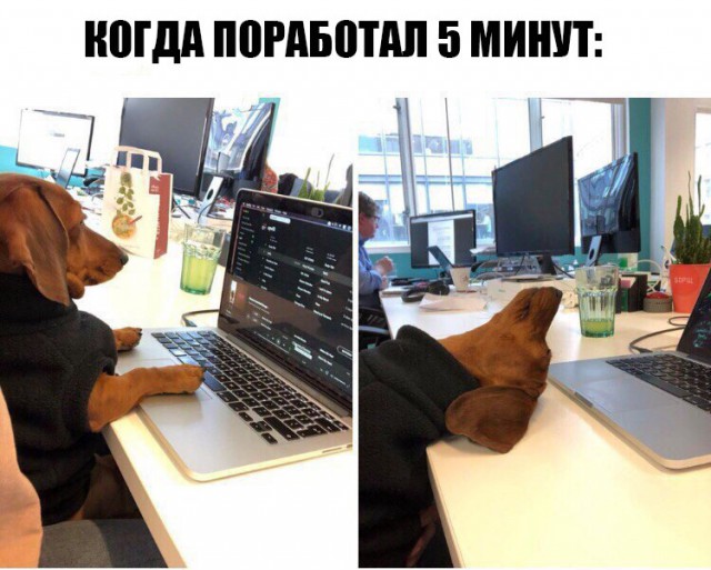 Нестандартный юмор