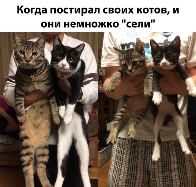 Нестандартный юмор