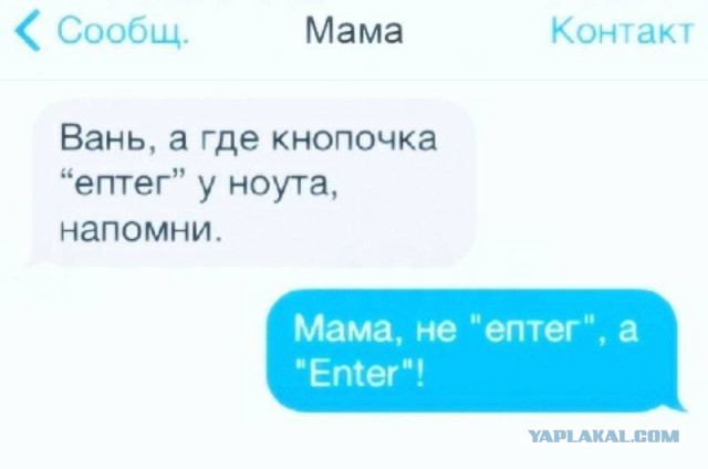 Смешные комментарии из социальных сетей 08.06.2018