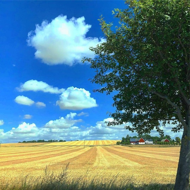 Красивые фото из сети