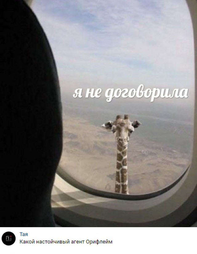 Да они же там все наркоманы!