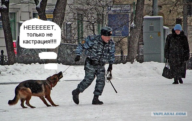 Сопротивление сотруднику полиции