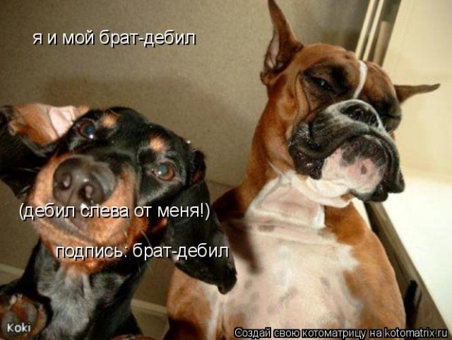 Серьезный и смешной