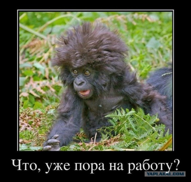 Челове-е-е-е-к!