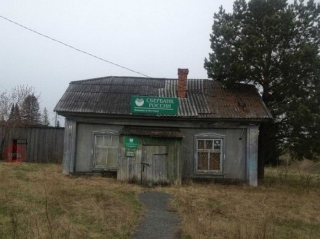 И всё-таки она наша. Лента картинок