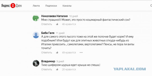 Еда для пенсионеров. Вместо мяса и рыбы.