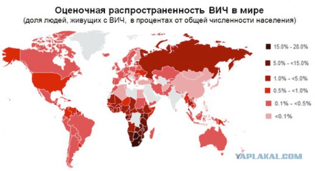 Они молятся пять раз в день, мучают рабов и живут в помоях
