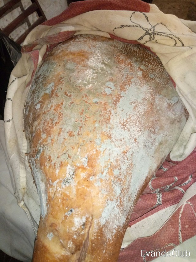 Сырокопченный окорок. Кулинарное эссе