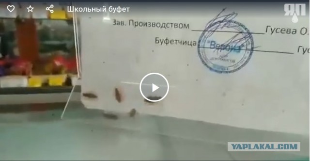 Школьный буфет