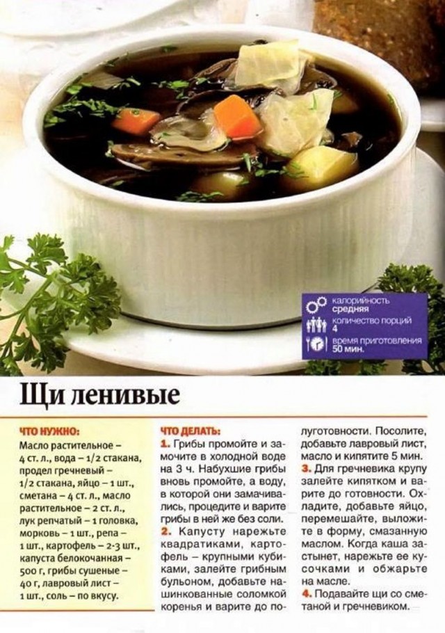 Суточные щи