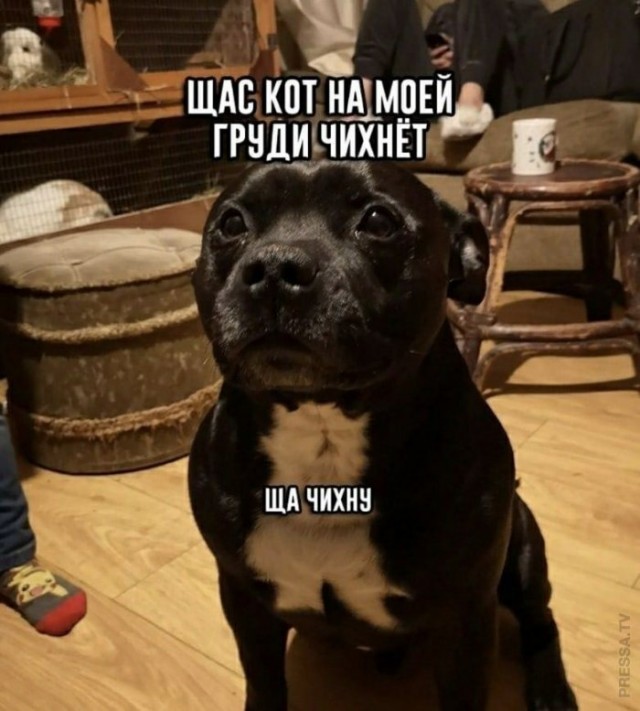 Картинки и мемы для настроения 010