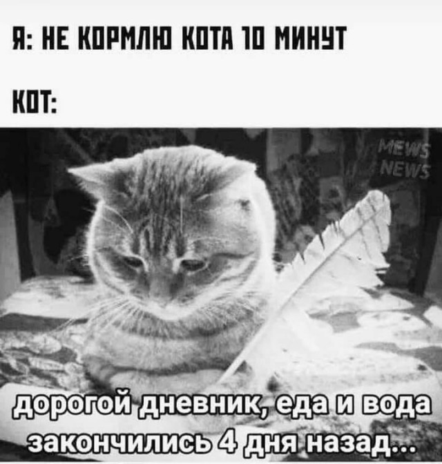 Всякая всячина 29.12.2020