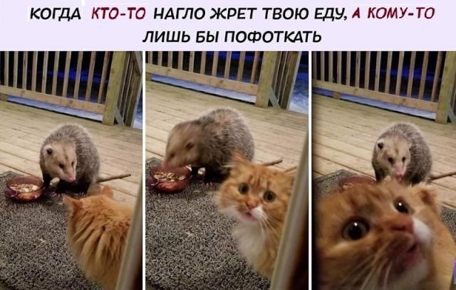 Картинки с надписями и всякие жизненные фразы 6.01.2021