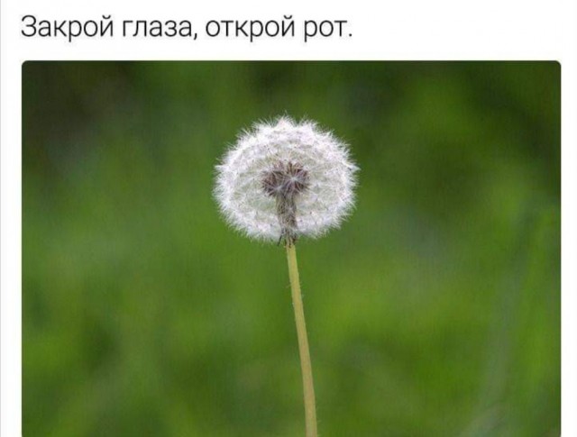 Бредзона 11.01.21