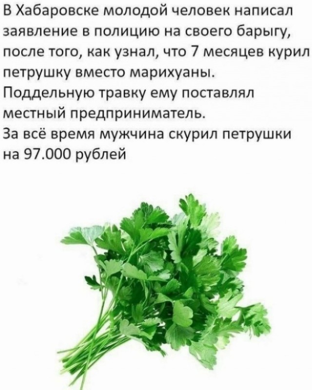 Кретинизмы из KO и KV 02.02.21