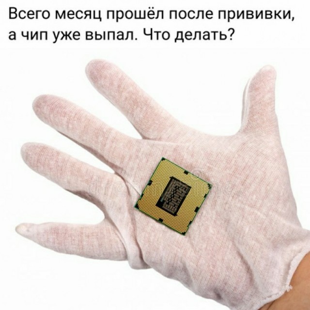Весёлый полтишок 12.04
