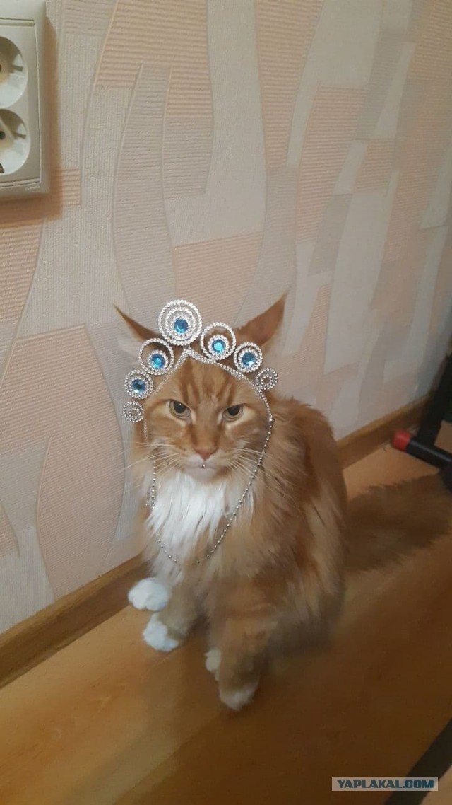 Избавился от кротов