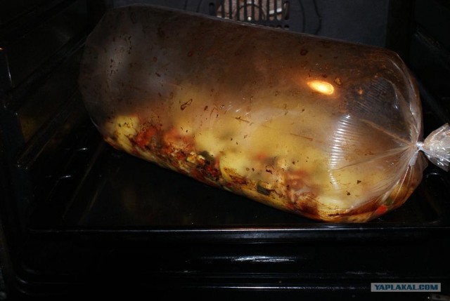 Ноги, хвосты… главное – крылья!, Кура-International–2, куриные крылья