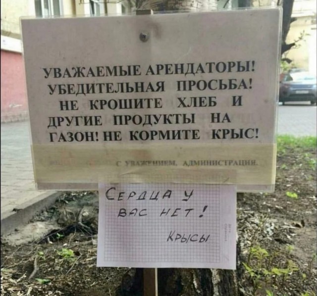 Так себе картинки 20.08.21