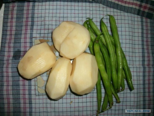 Пятничные посиделки на теплотрассе ©