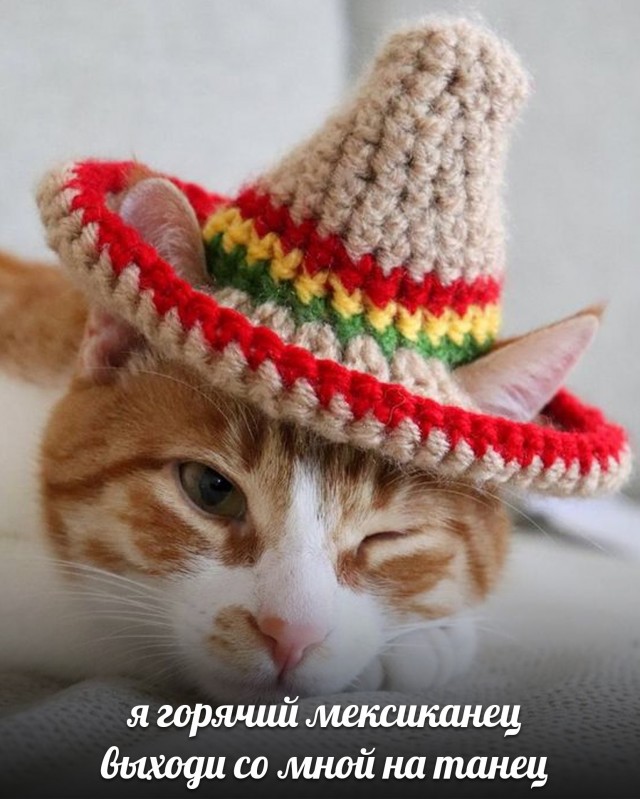 Пляжная мода из Бразилии