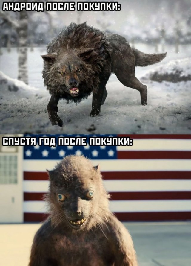 Картинки и мемы для настроения 24.08.2021
