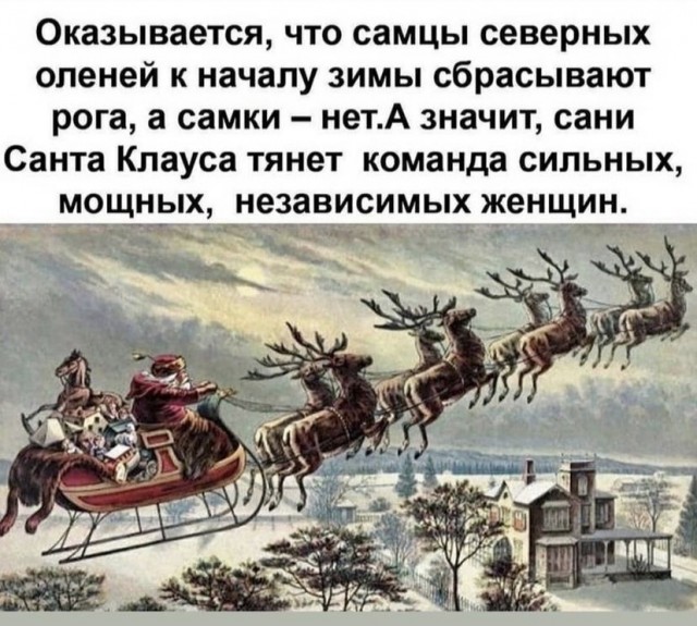 Картинки и мемы для настроения 18.10.2021