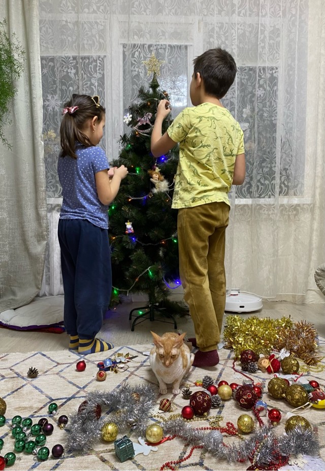 Вторник. Котэ. Пора