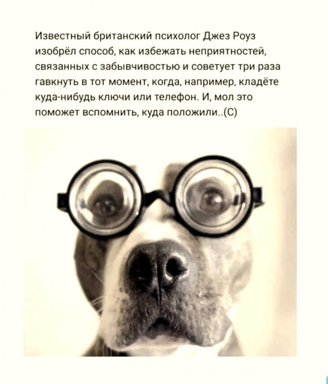 Так себе картинки 16.02.22