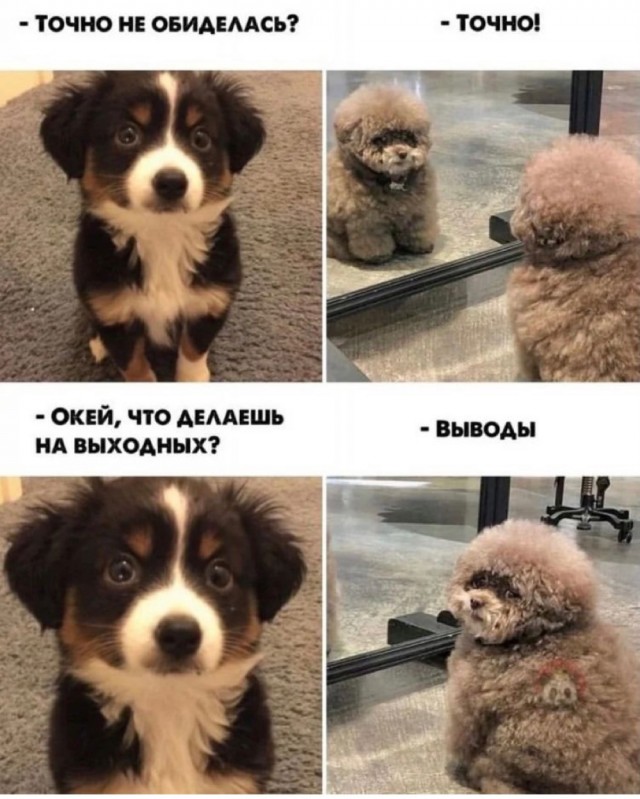 Позитив никто не отменял!