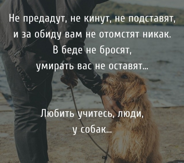 Так себе картинки 18.07.22