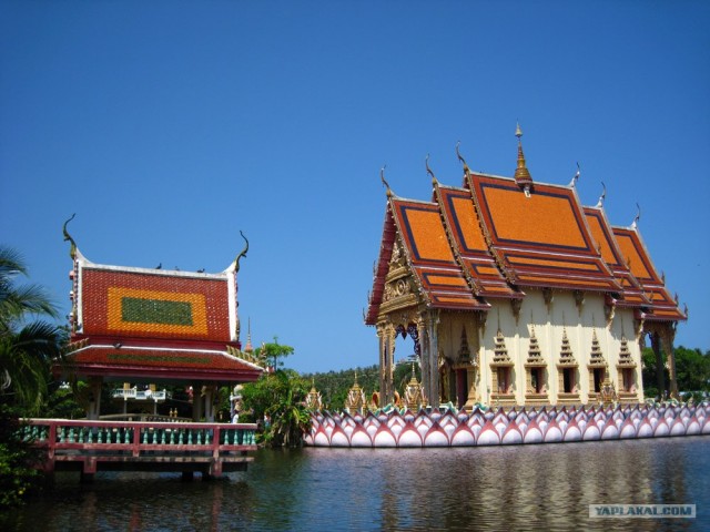 Такой разный остров Самуи