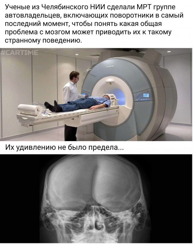 17358213.jpg