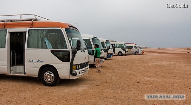 Синайские приключения. Шарм-эш-Шейх и окресности